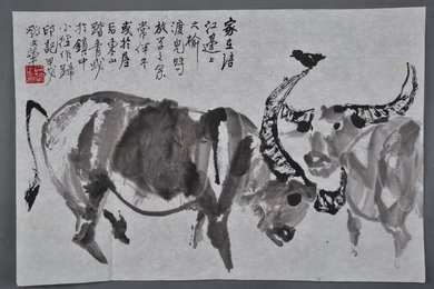 1994年邓文华家在涪江边横幅